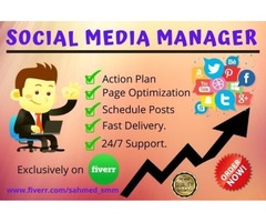 Professional Social Media Management Services Ever! | free-classifieds-canada.com - 1