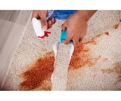 Professional Carpet Cleaning Calgary, Alberta | free-classifieds-canada.com - 2
